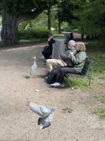 This photo captures a peaceful moment in a park at Plantage Middenlaan, Plantage, Amsterdam, where people are relaxing on benches